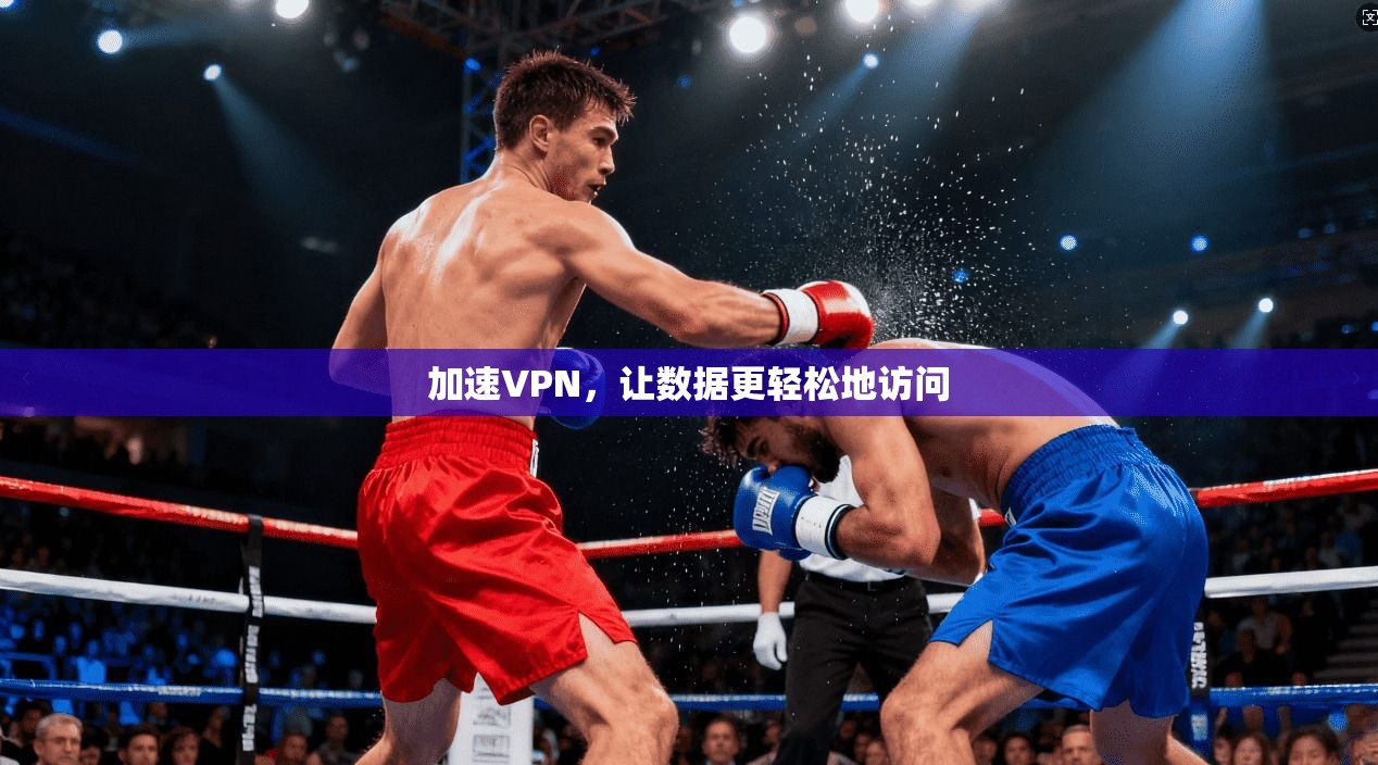 加速VPN，让数据更轻松地访问
