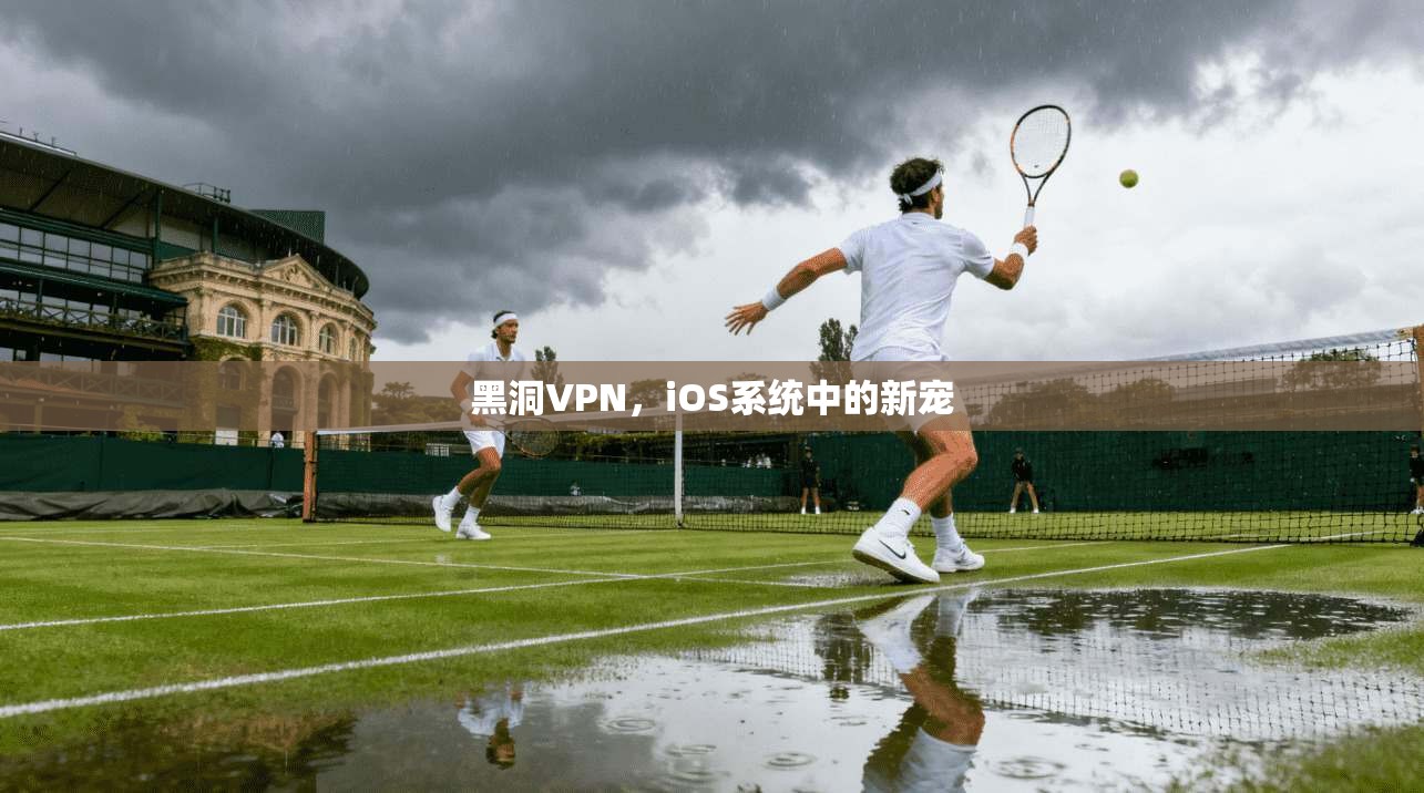 黑洞VPN，iOS系统中的新宠