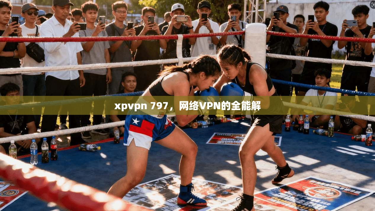 xpvpn 797，网络VPN的全能解