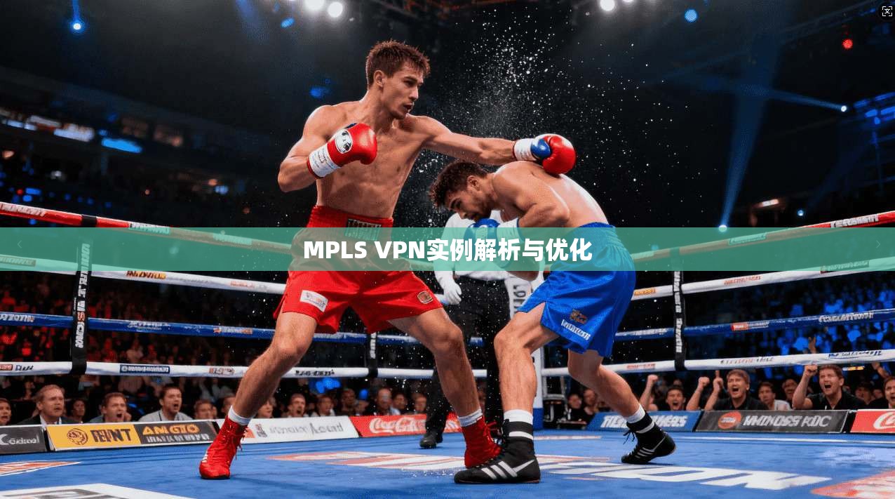 MPLS VPN实例解析与优化