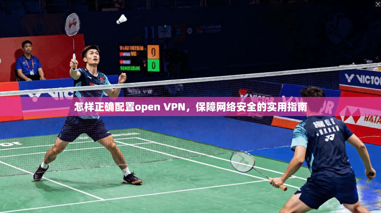 怎样正确配置open VPN，保障网络安全的实用指南