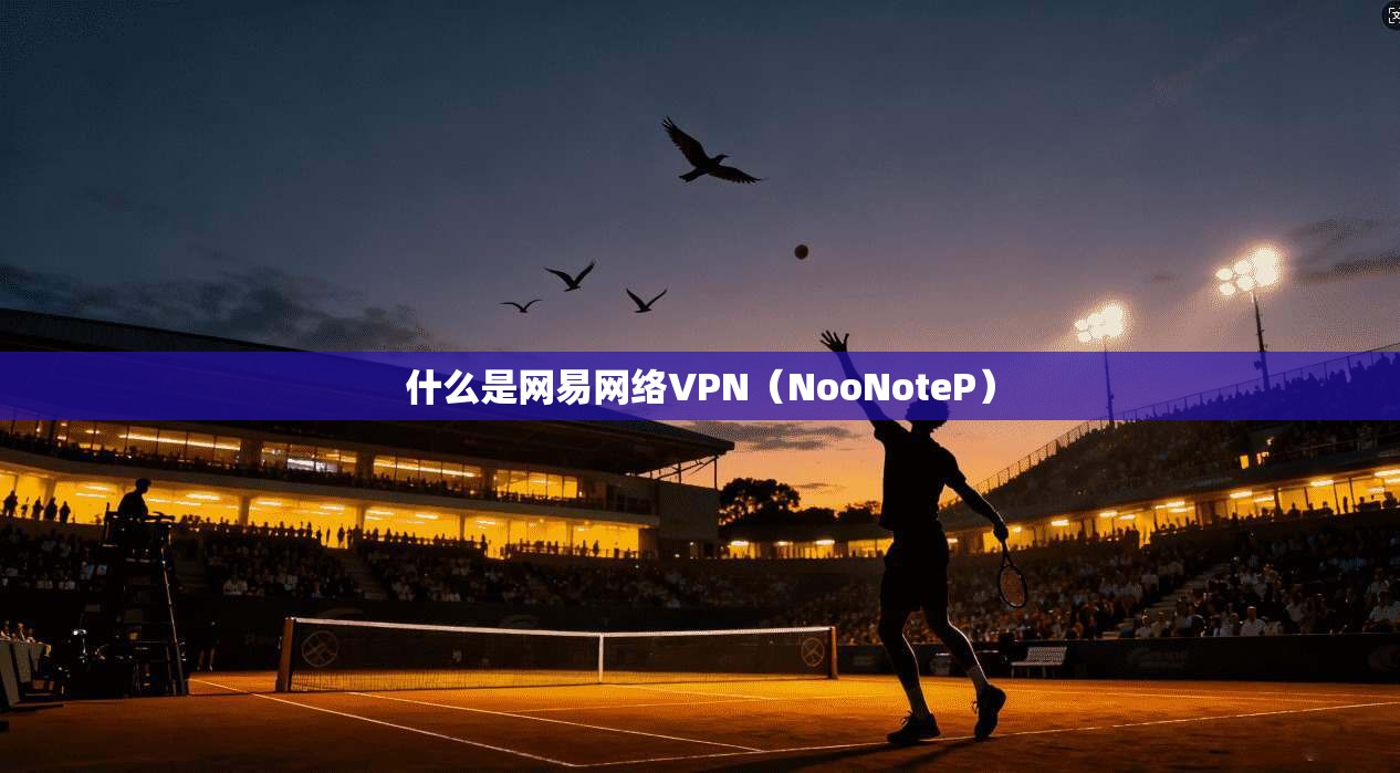 什么是网易网络VPN（NooNoteP）