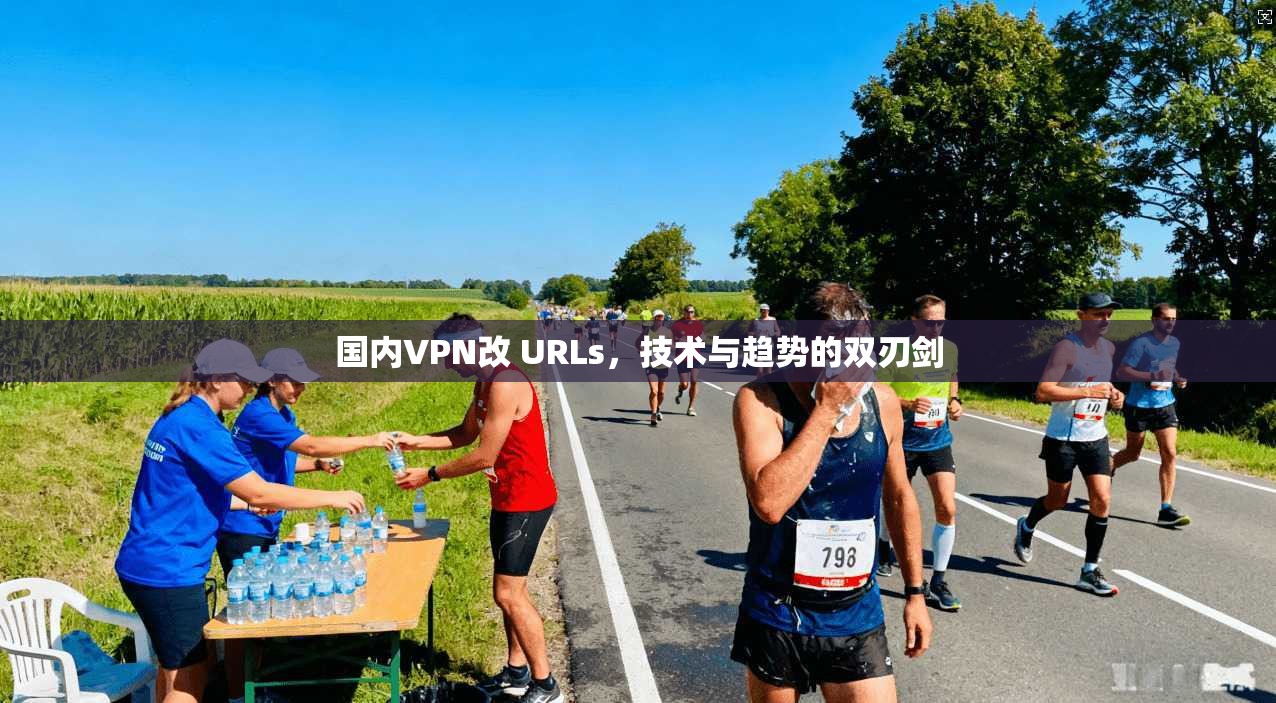 国内VPN改 URLs，技术与趋势的双刃剑