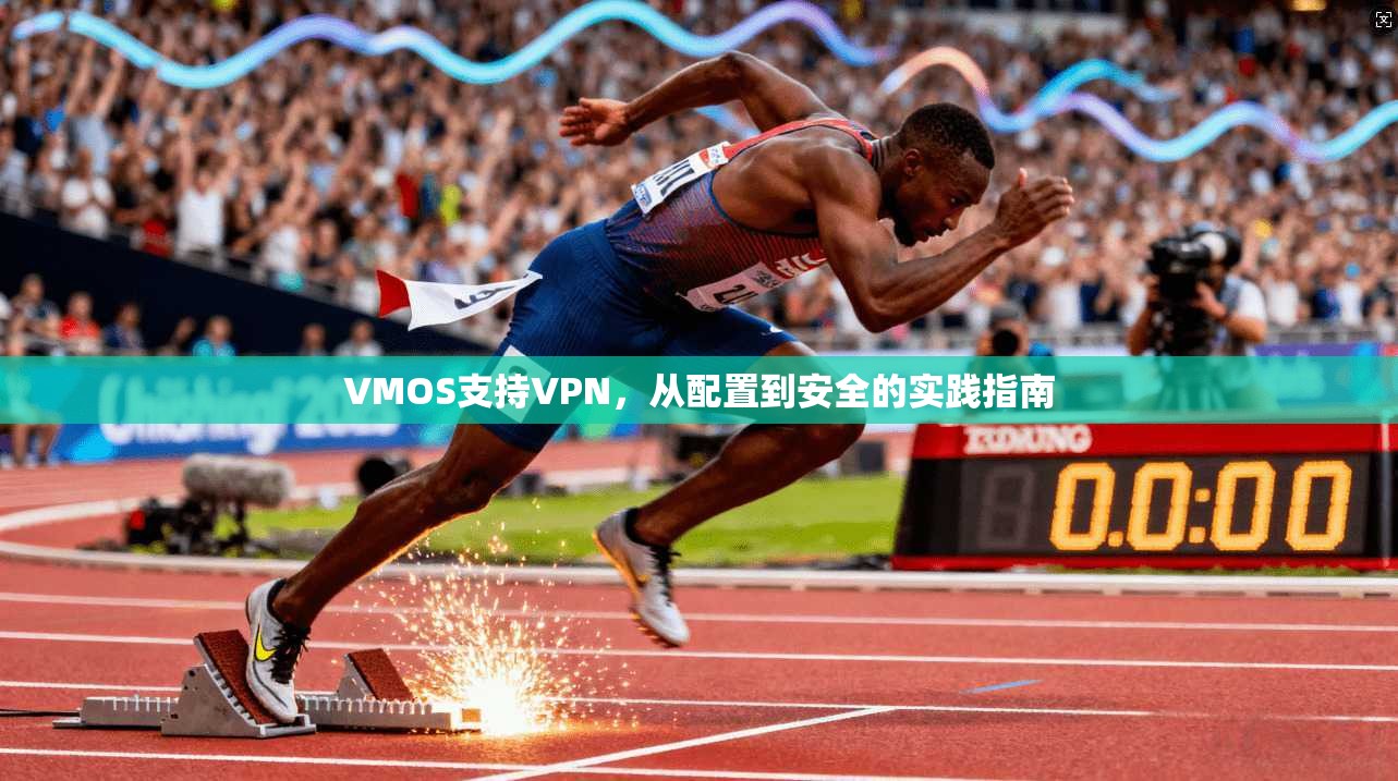 VMOS支持VPN，从配置到安全的实践指南