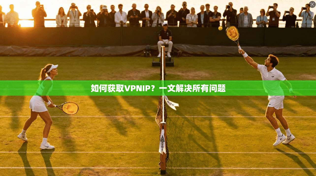 如何获取VPNIP？一文解决所有问题