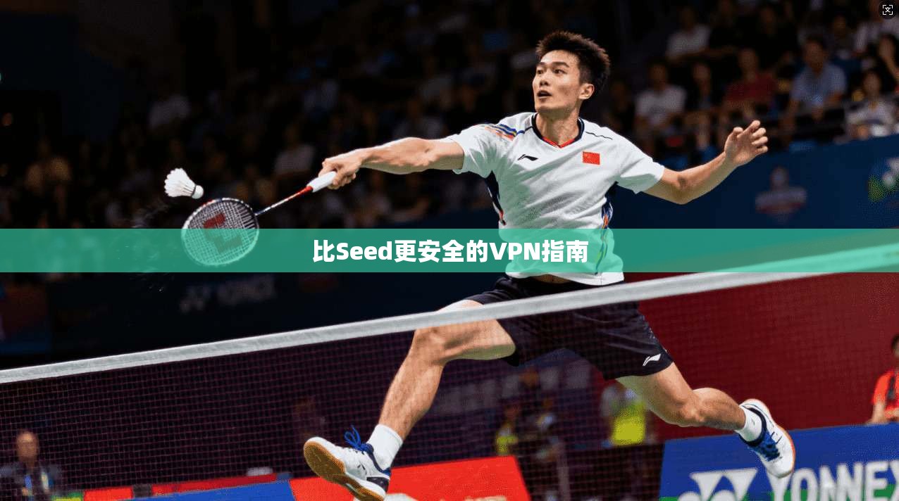 比Seed更安全的VPN指南