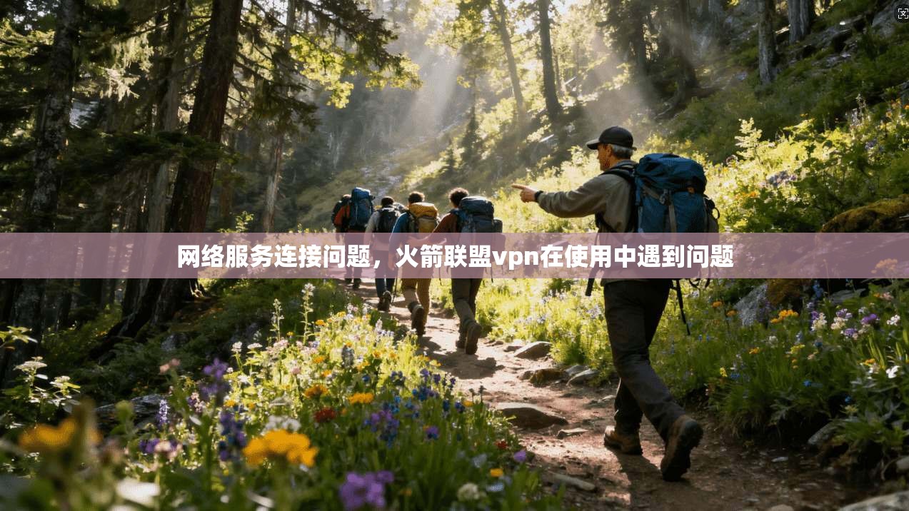 网络服务连接问题，火箭联盟vpn在使用中遇到问题