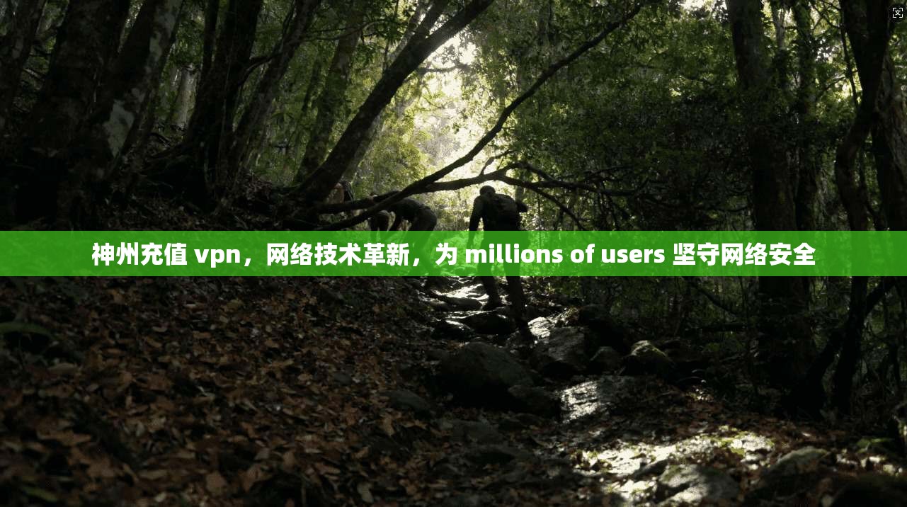 神州充值 vpn，网络技术革新，为 millions of users 坚守网络安全  第1张