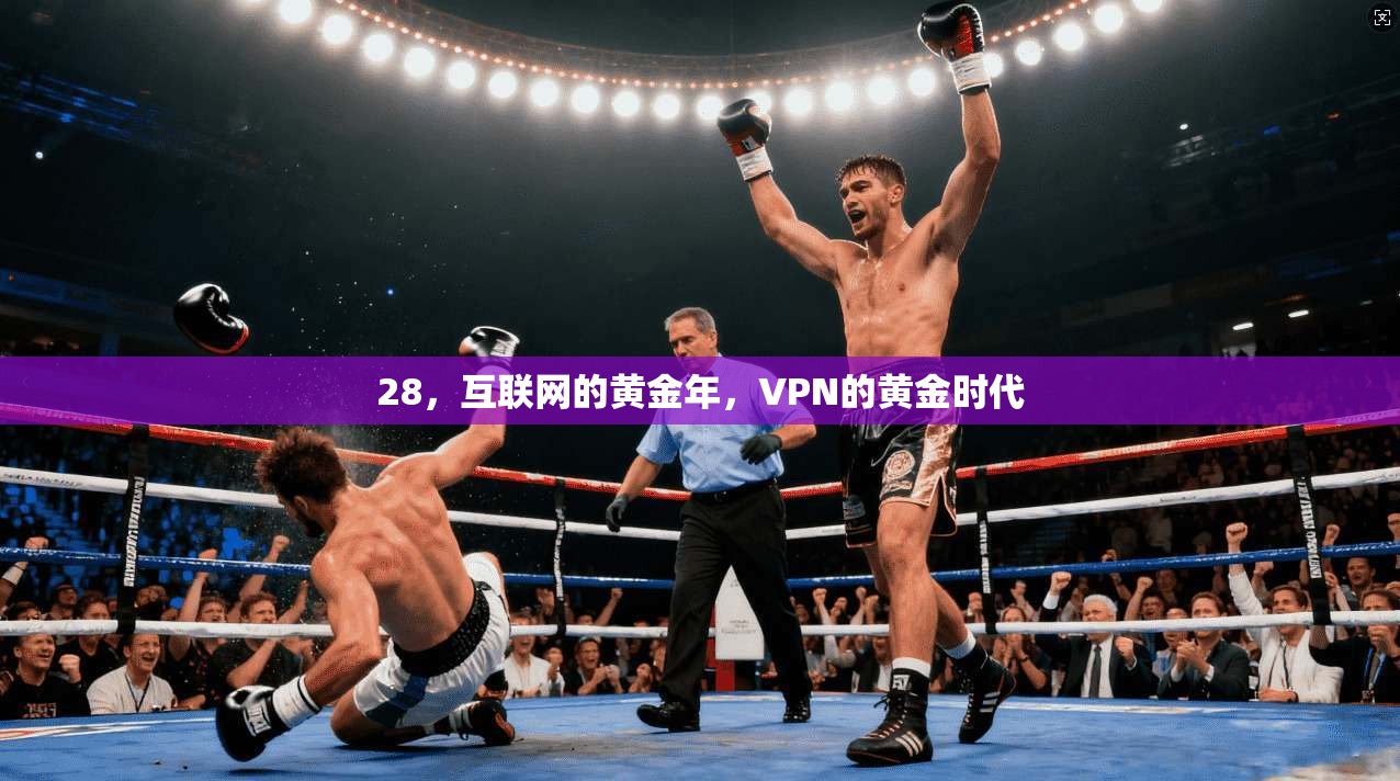 28，互联网的黄金年，VPN的黄金时代