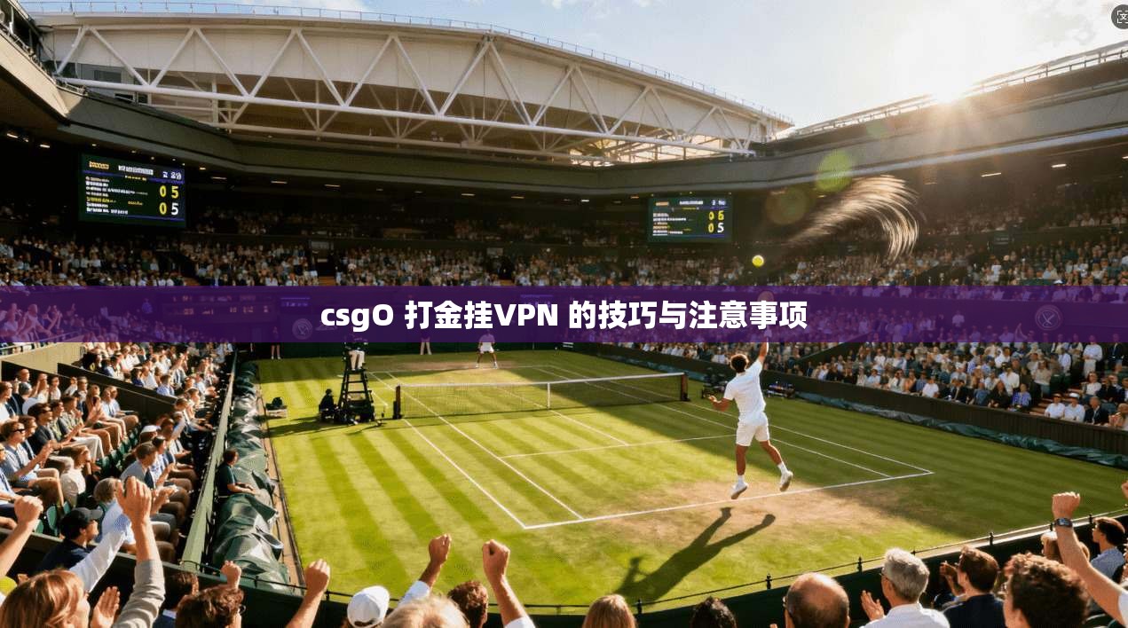 csgO 打金挂VPN 的技巧与注意事项  第1张