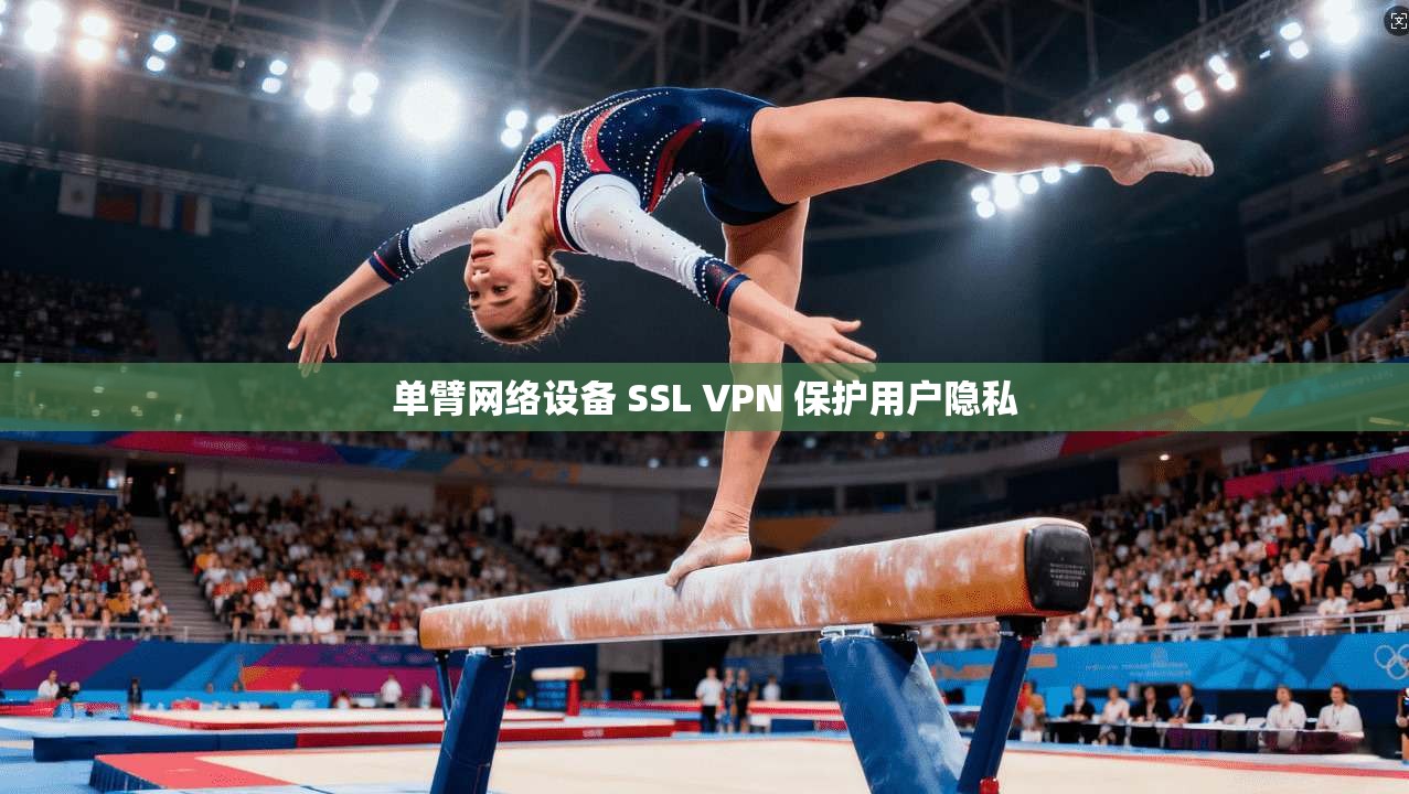 单臂网络设备 SSL VPN 保护用户隐私