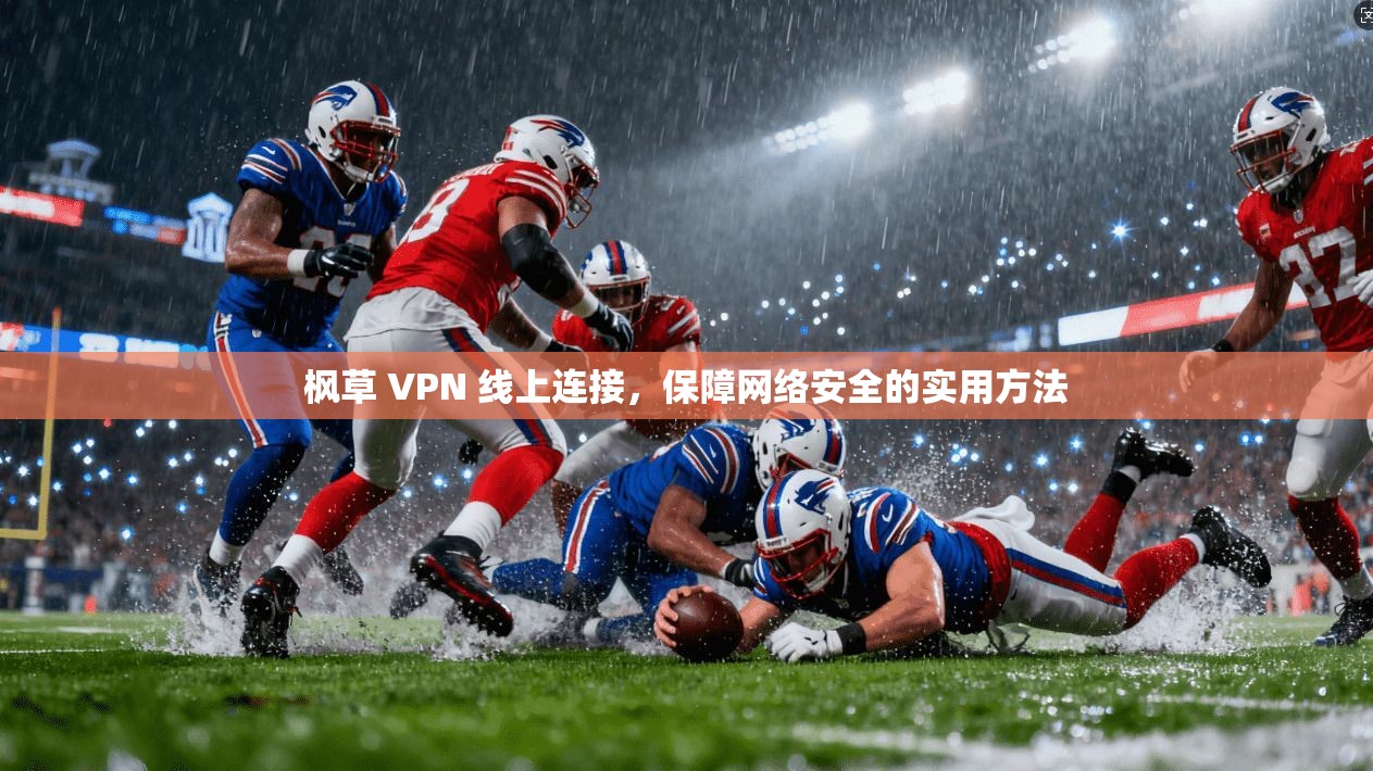枫草 VPN 线上连接，保障网络安全的实用方法
