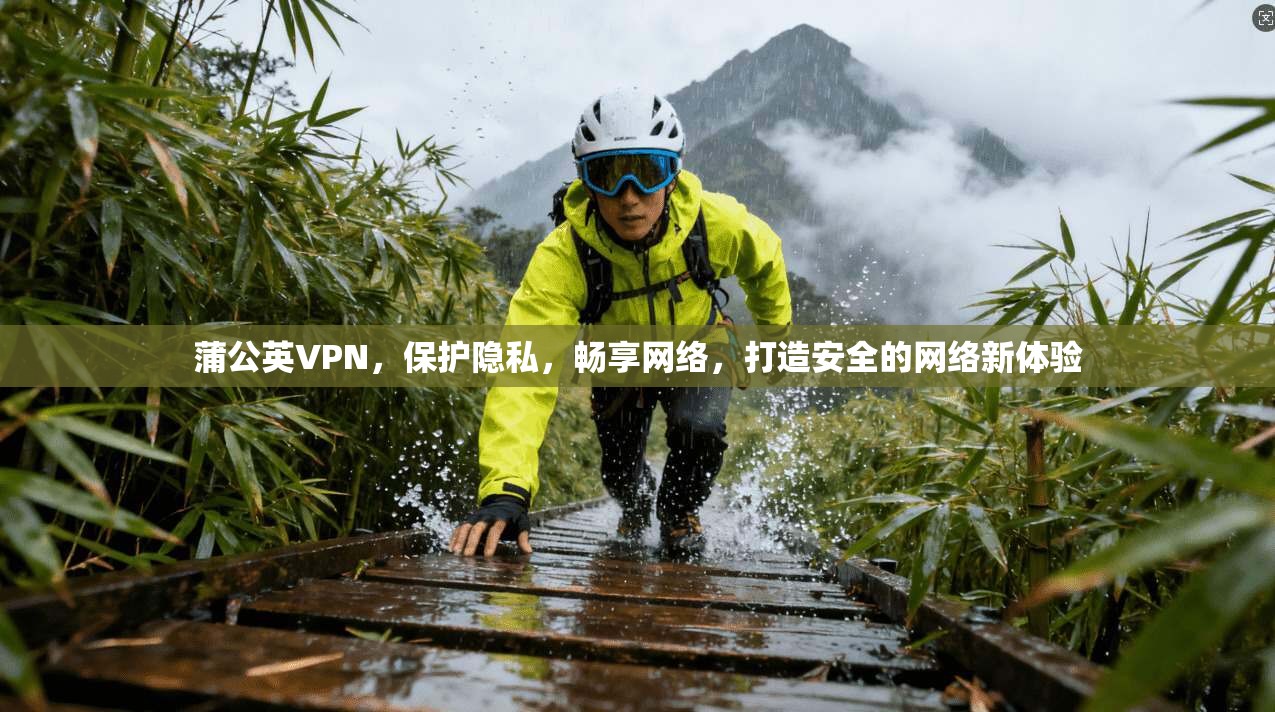 蒲公英VPN，保护隐私，畅享网络，打造安全的网络新体验