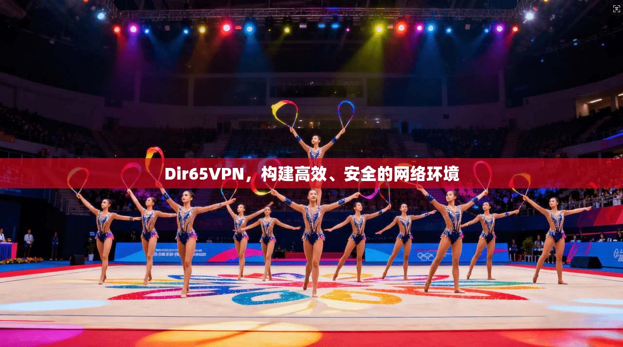 Dir65VPN，构建高效、安全的网络环境