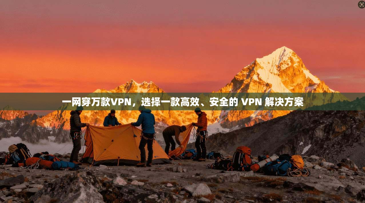 一网穿万款VPN，选择一款高效、安全的 VPN 解决方案