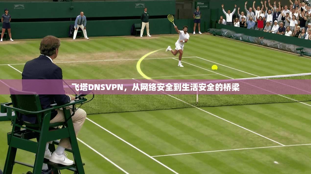 飞塔DNSVPN,从网络安全到生活安全的桥梁