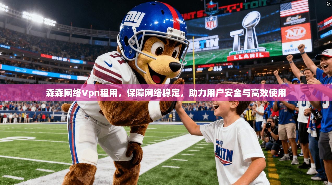 森森网络Vpn租用，保障网络稳定，助力用户安全与高效使用