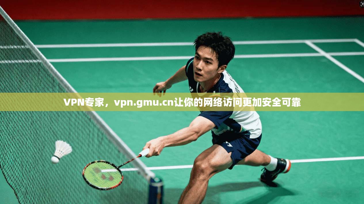 VPN专家,vpn.gmu.cn让你的网络访问更加安全可靠