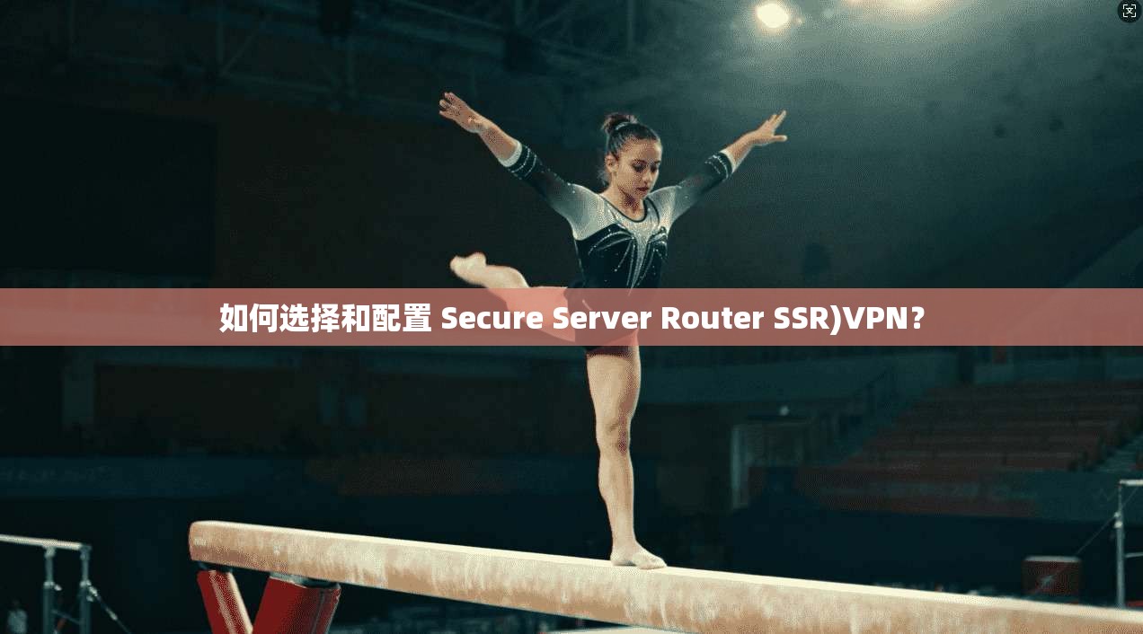 如何选择和配置 Secure Server Router SSR)VPN？