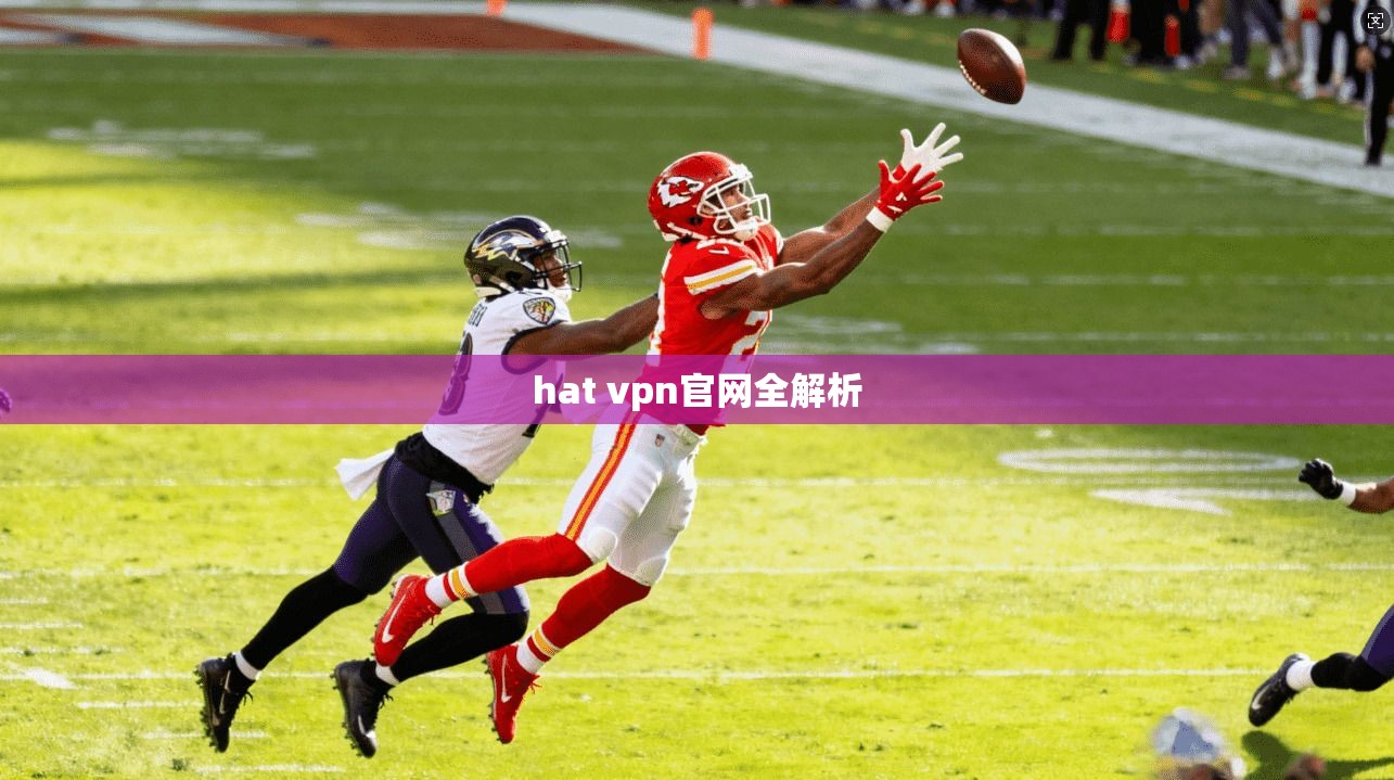 hat vpn官网全解析