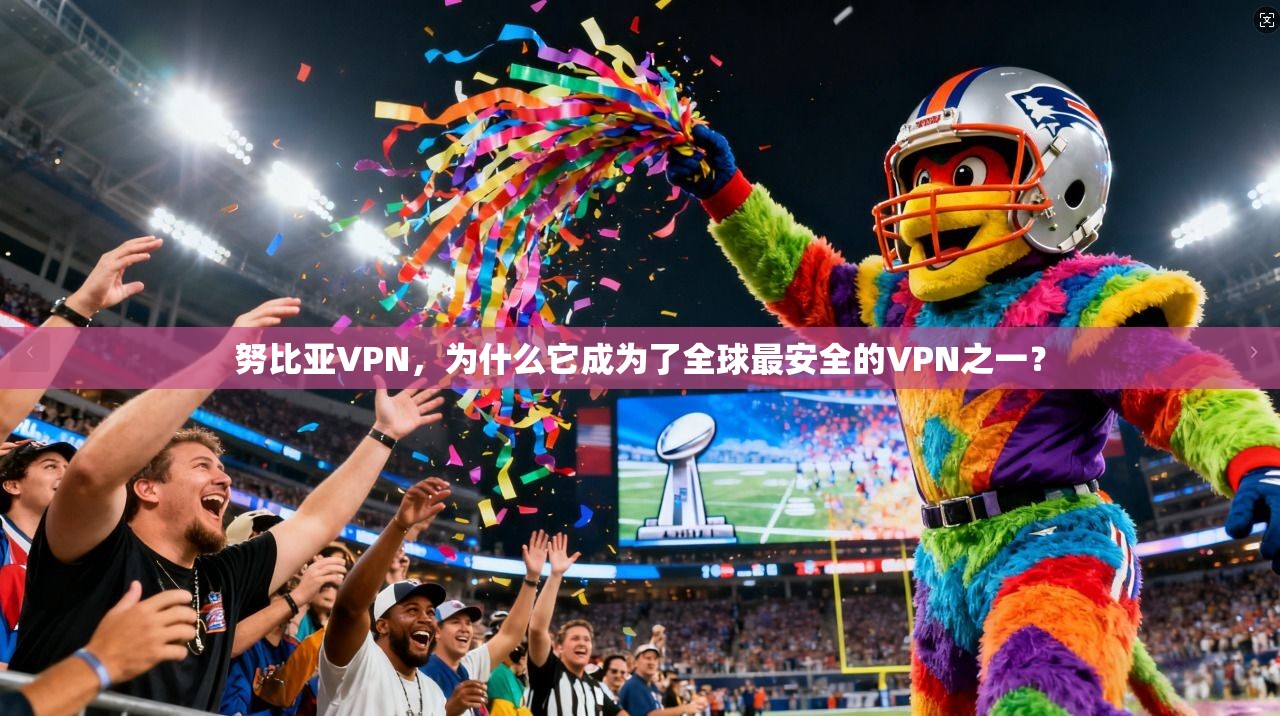 努比亚VPN，为什么它成为了全球最安全的VPN之一？