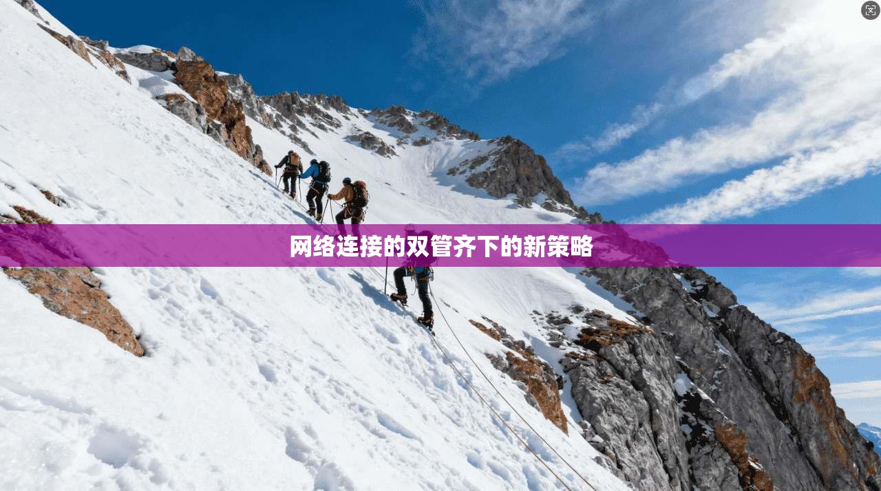 网络连接的双管齐下的新策略