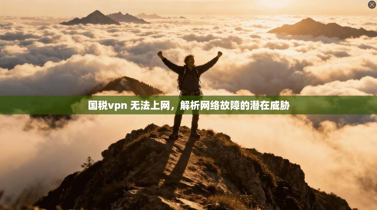 国税vpn 无法上网，解析网络故障的潜在威胁