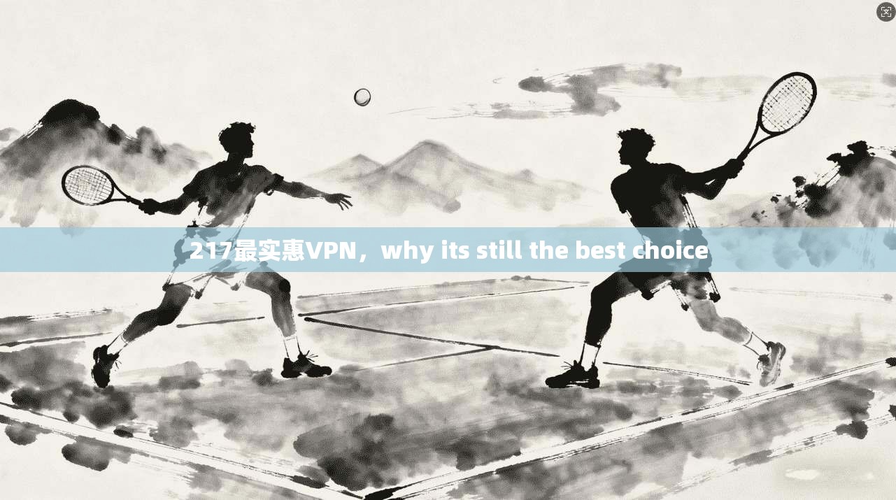 217最实惠VPN,why its still the best choice