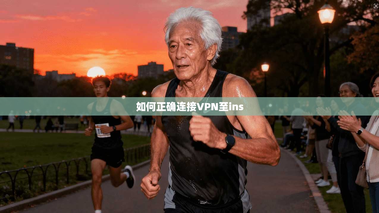 如何正确连接VPN至ins  第1张