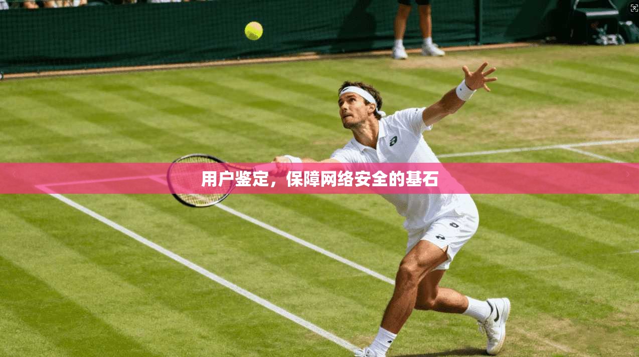 用户鉴定，保障网络安全的基石