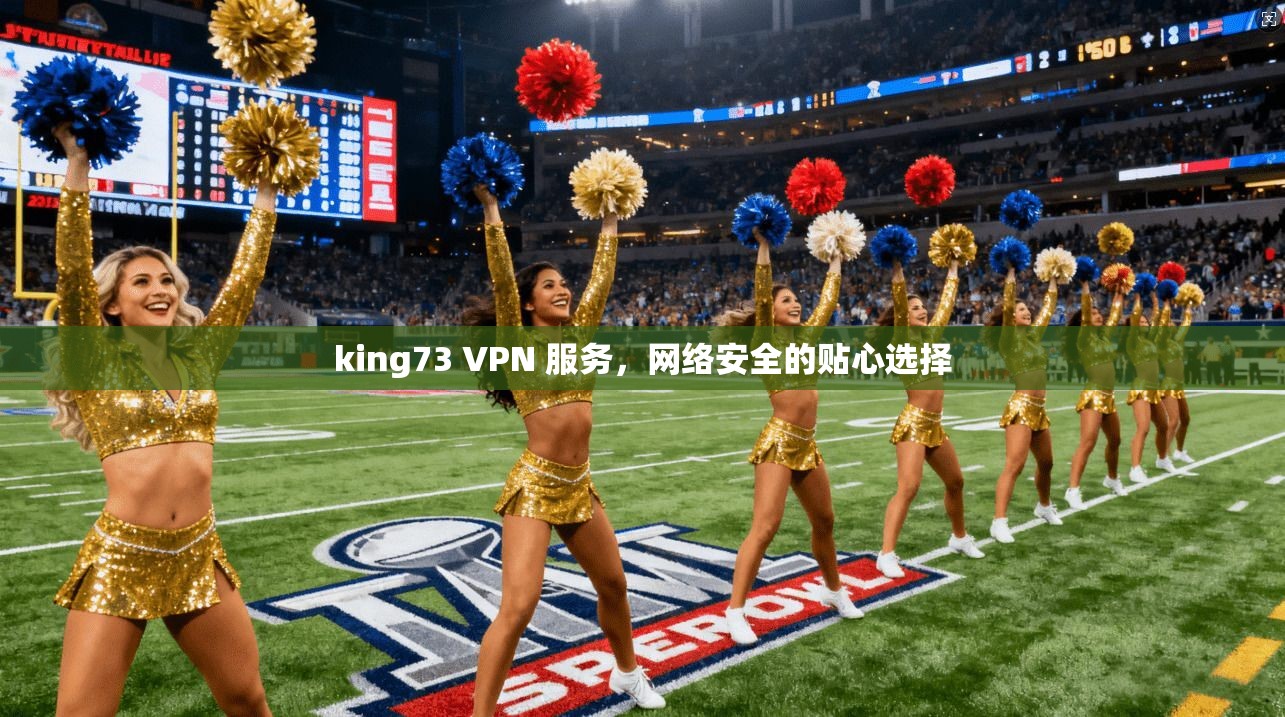 king73 VPN 服务，网络安全的贴心选择  第1张
