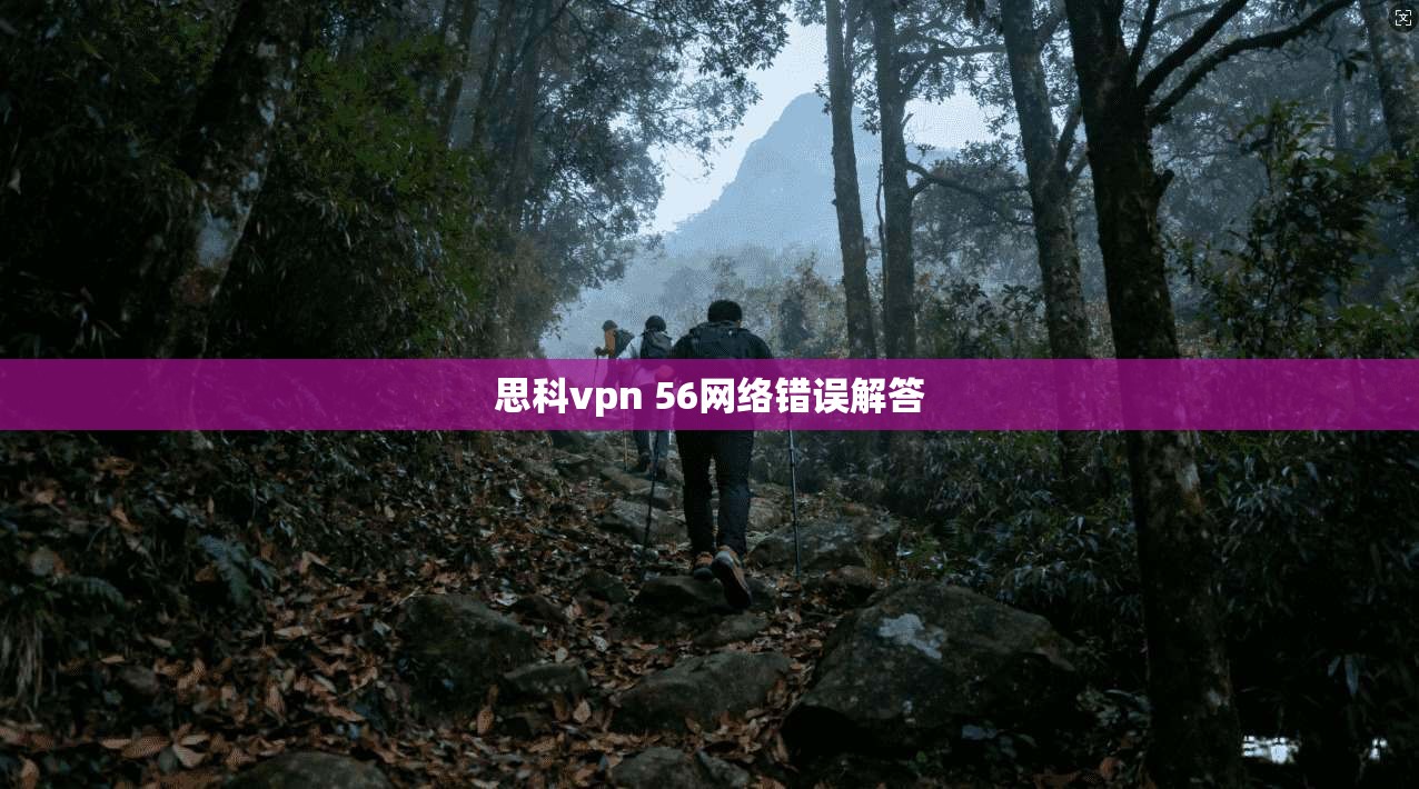 思科vpn 56网络错误解答