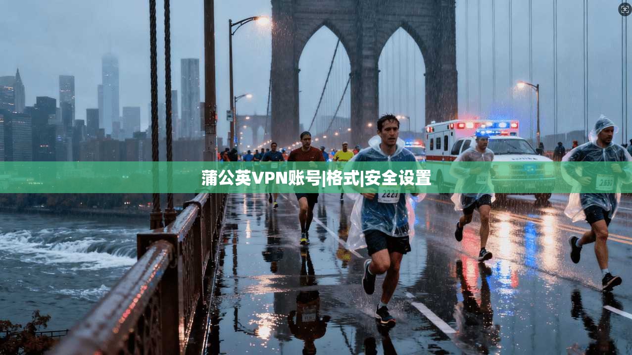 蒲公英VPN账号|格式|安全设置