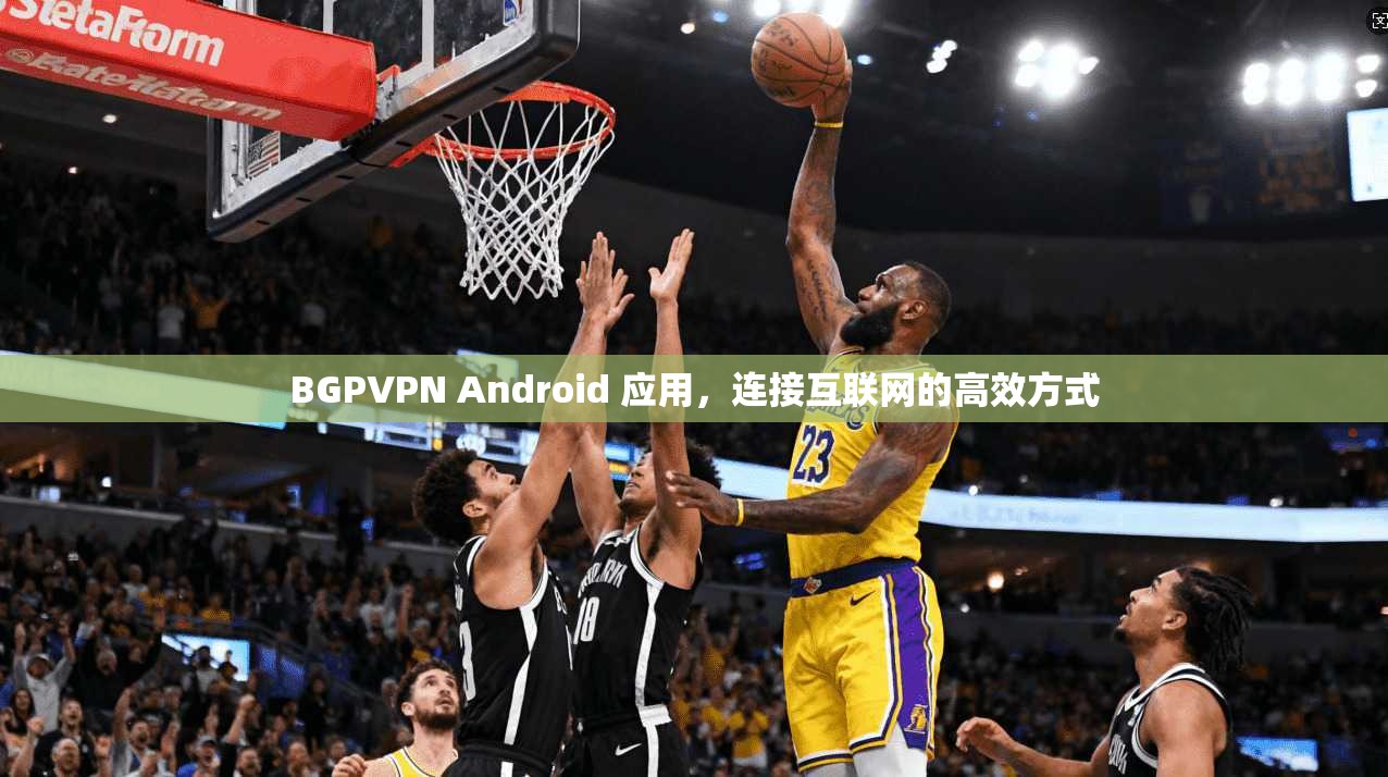 BGPVPN Android 应用,连接互联网的高效方式