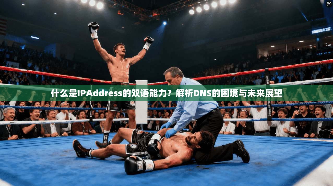 什么是IPAddress的双语能力?解析DNS的困境与未来展望