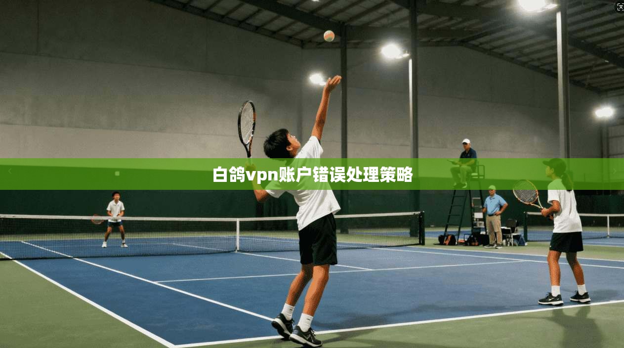 白鸽vpn账户错误处理策略