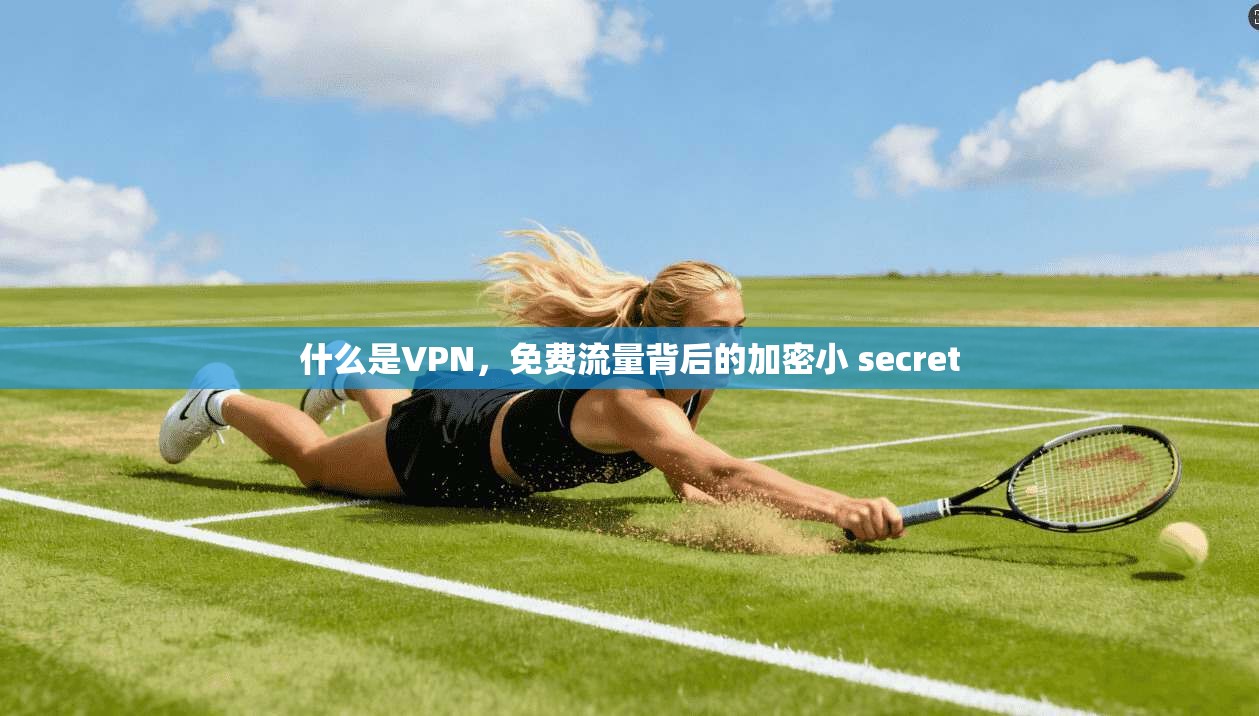 什么是VPN，免费流量背后的加密小 secret