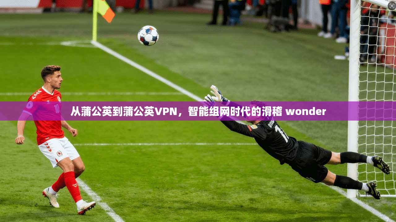 从蒲公英到蒲公英VPN，智能组网时代的滑稽 wonder