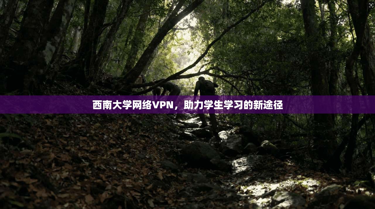 西南大学网络VPN，助力学生学习的新途径