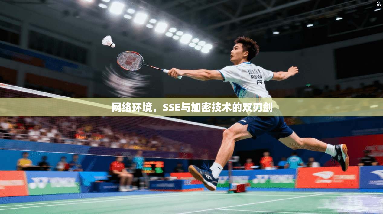 网络环境，SSE与加密技术的双刃剑