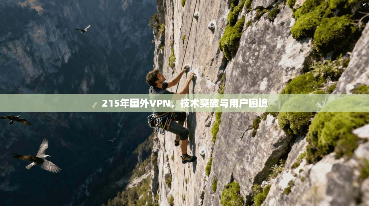 215年国外VPN，技术突破与用户困境
