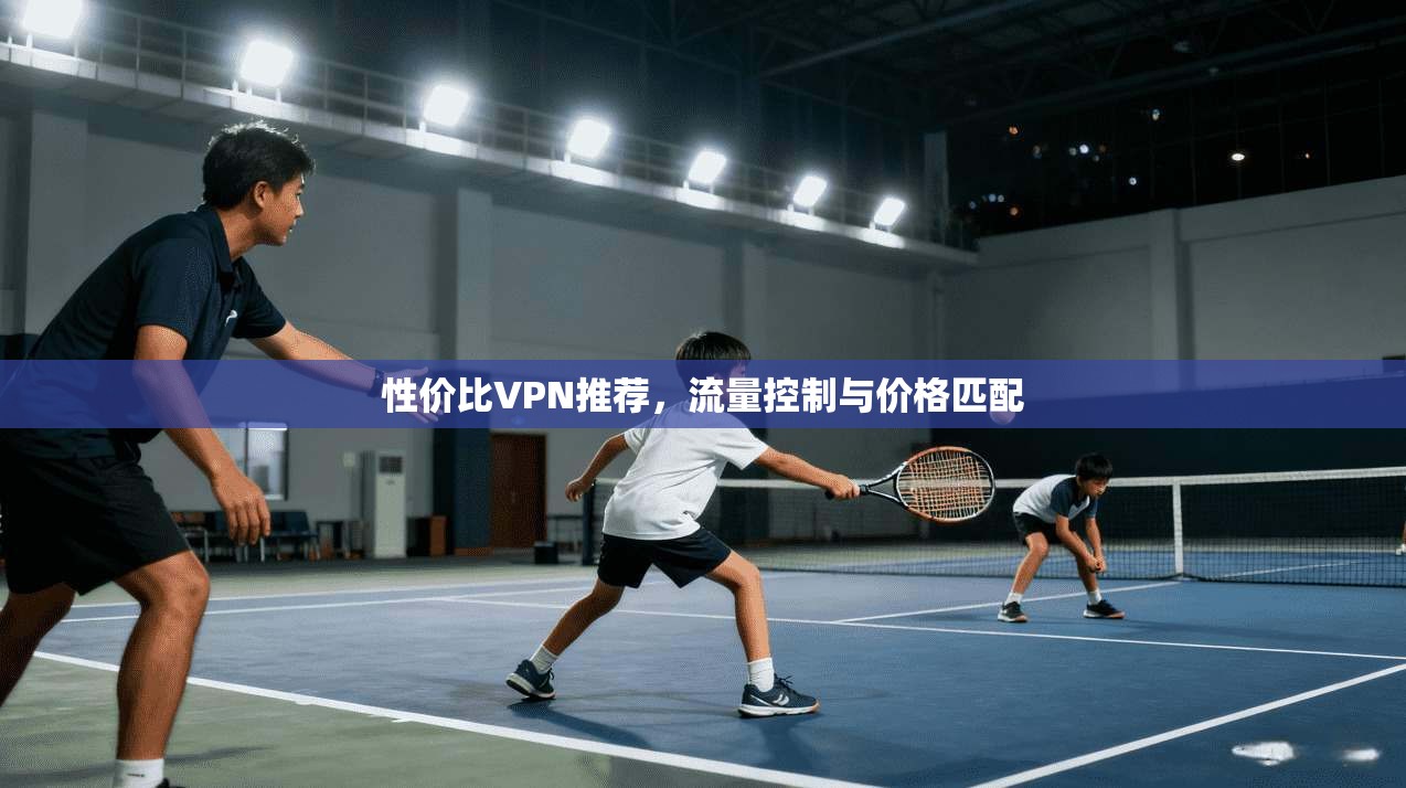 性价比VPN推荐，流量控制与价格匹配