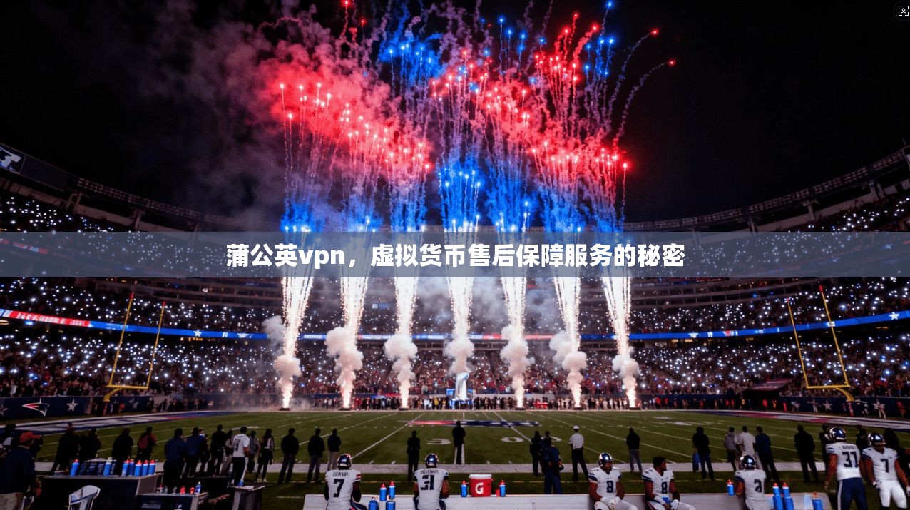 蒲公英vpn，虚拟货币售后保障服务的秘密
