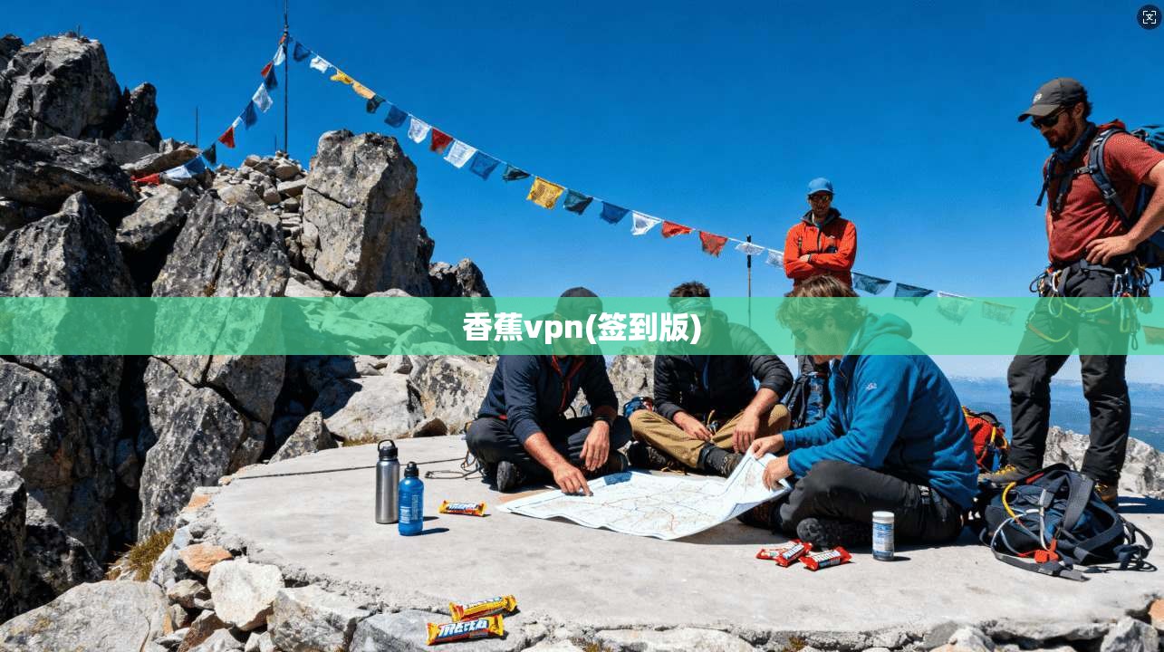 香蕉vpn(签到版)