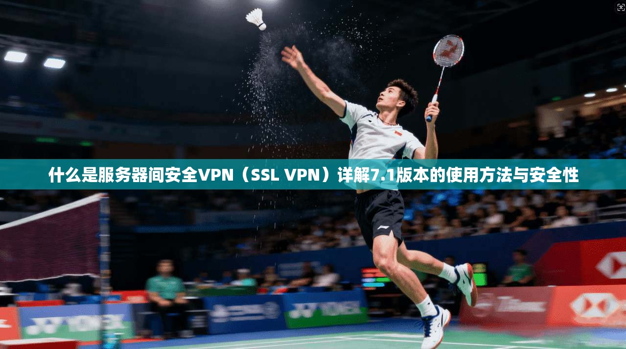 什么是服务器间安全VPN（SSL VPN）详解7.1版本的使用方法与安全性