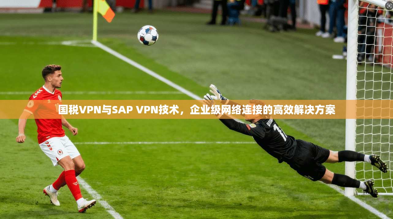 国税VPN与SAP VPN技术，企业级网络连接的高效解决方案