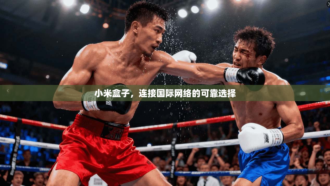 小米盒子，连接国际网络的可靠选择