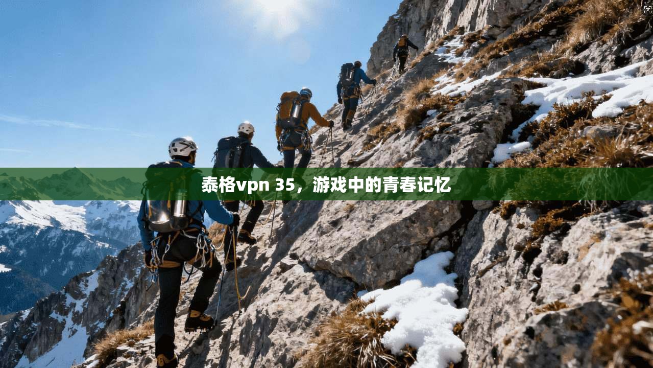 泰格vpn 35，游戏中的青春记忆