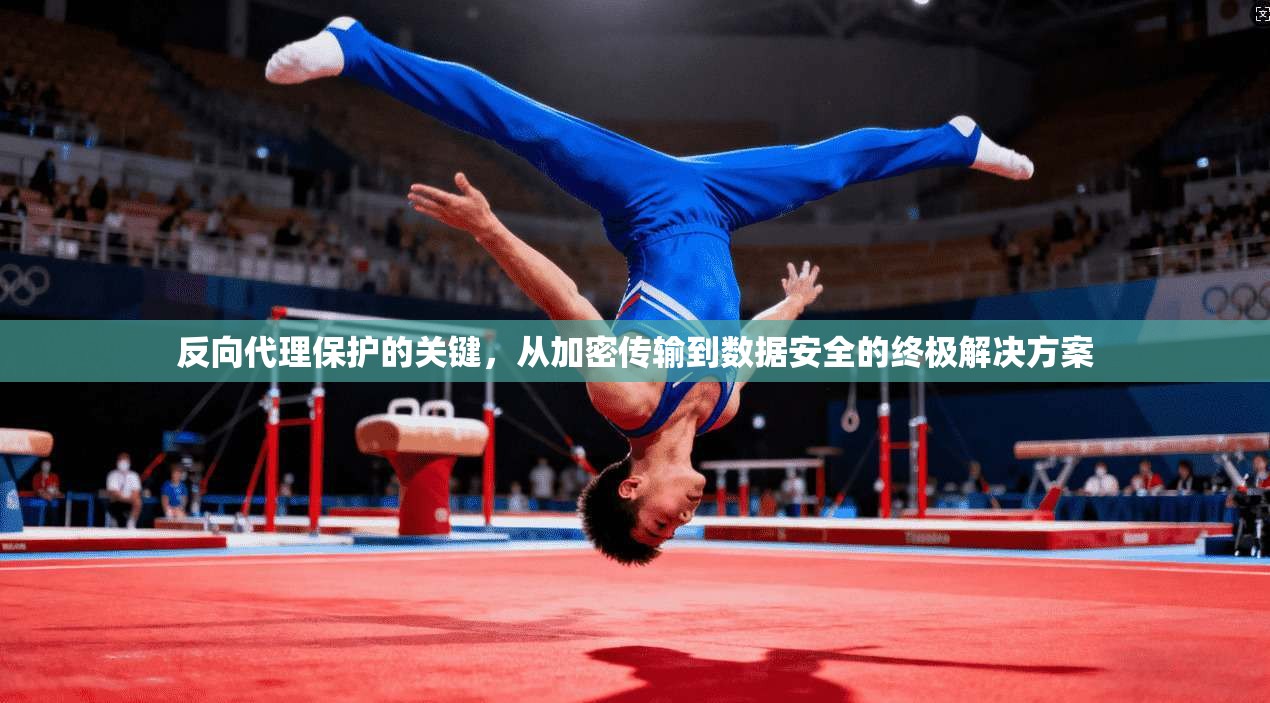 反向代理保护的关键，从加密传输到数据安全的终极解决方案  第1张