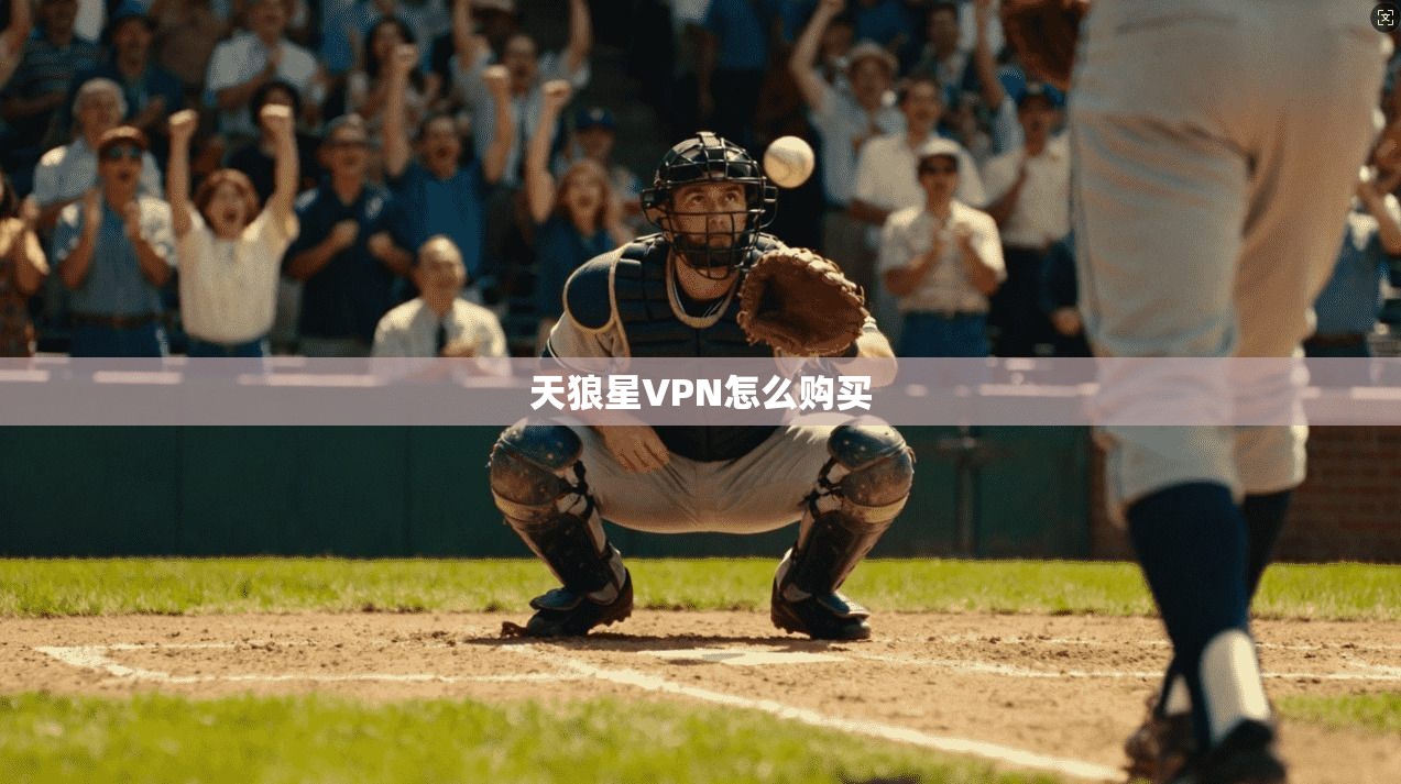 天狼星VPN怎么购买